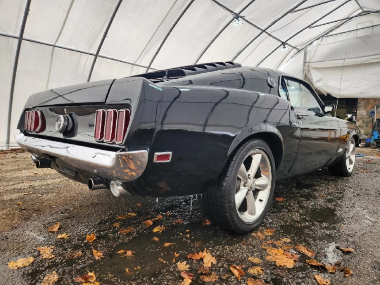 1969 Ford Mustang Fastback Main Image