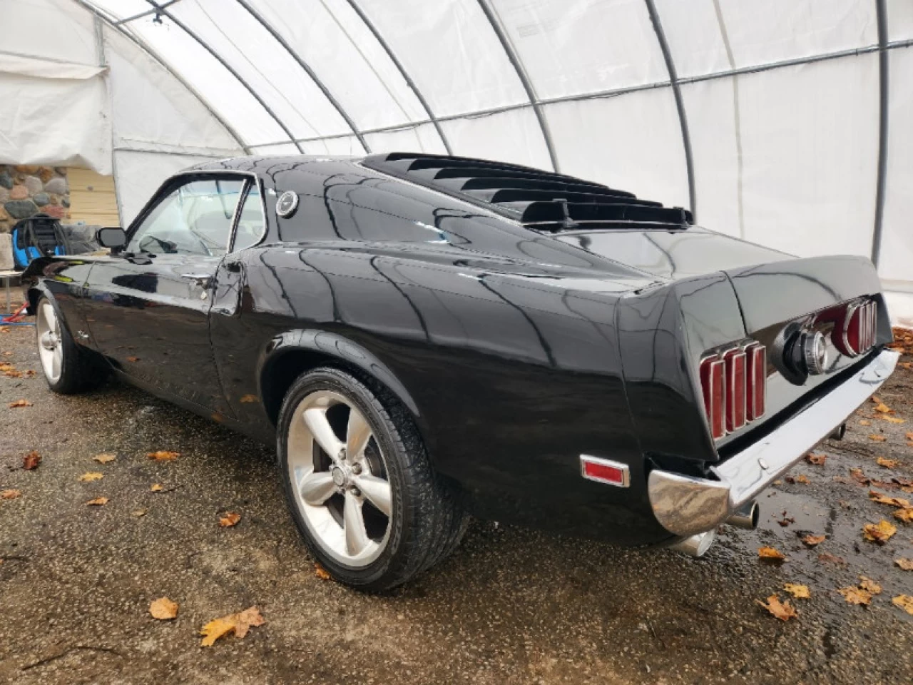 1969 Ford Mustang Fastback Main Image