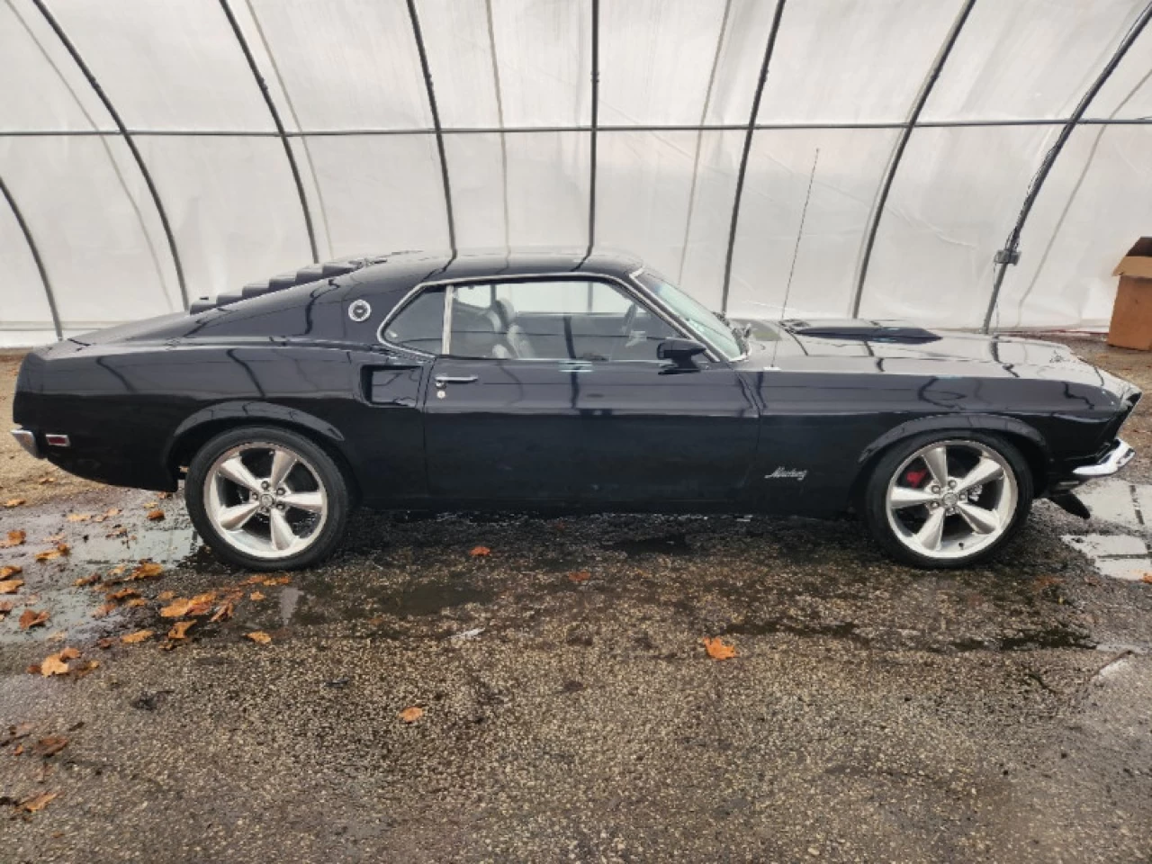 1969 Ford Mustang Fastback Main Image