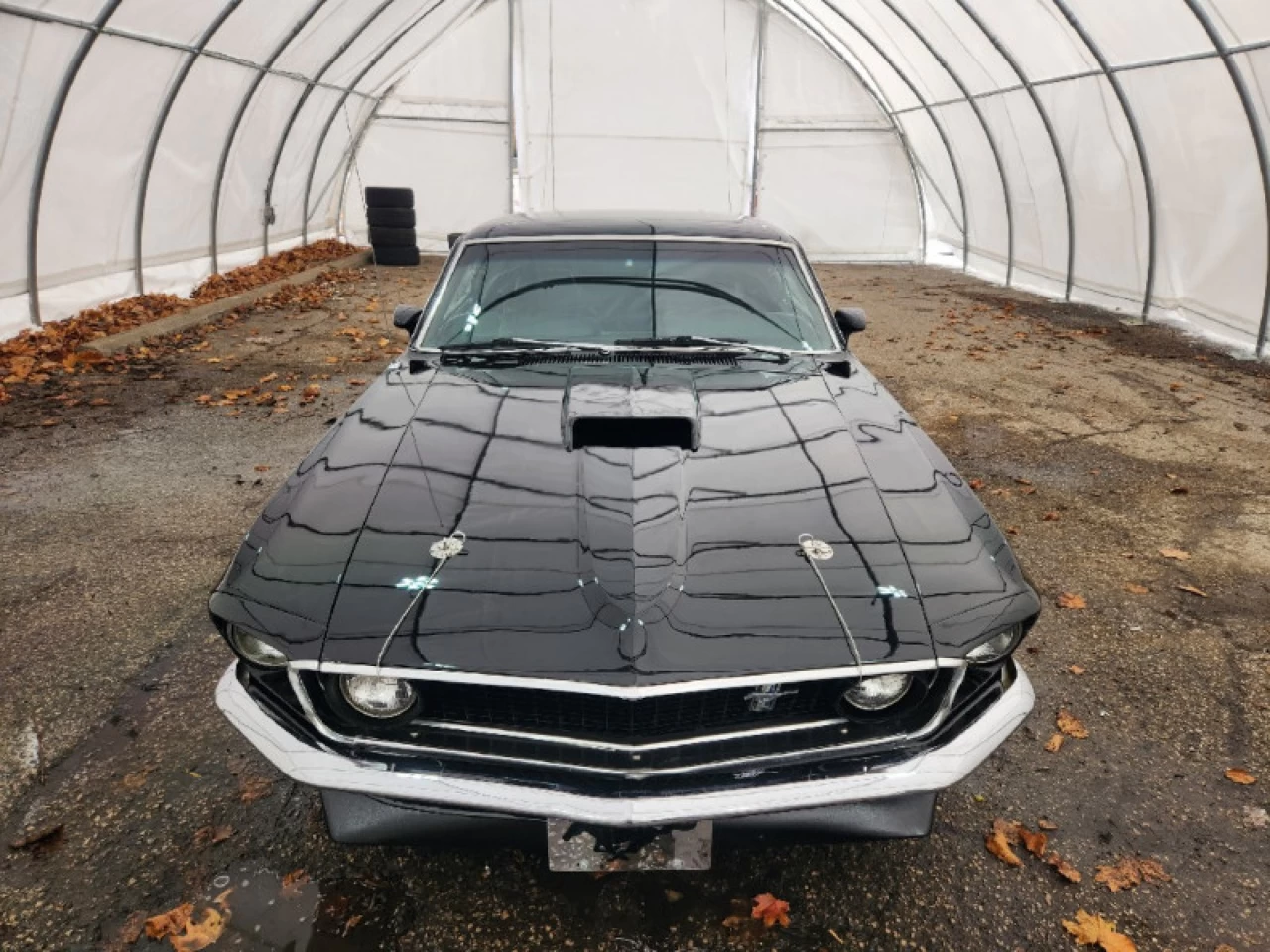 1969 Ford Mustang Fastback Main Image