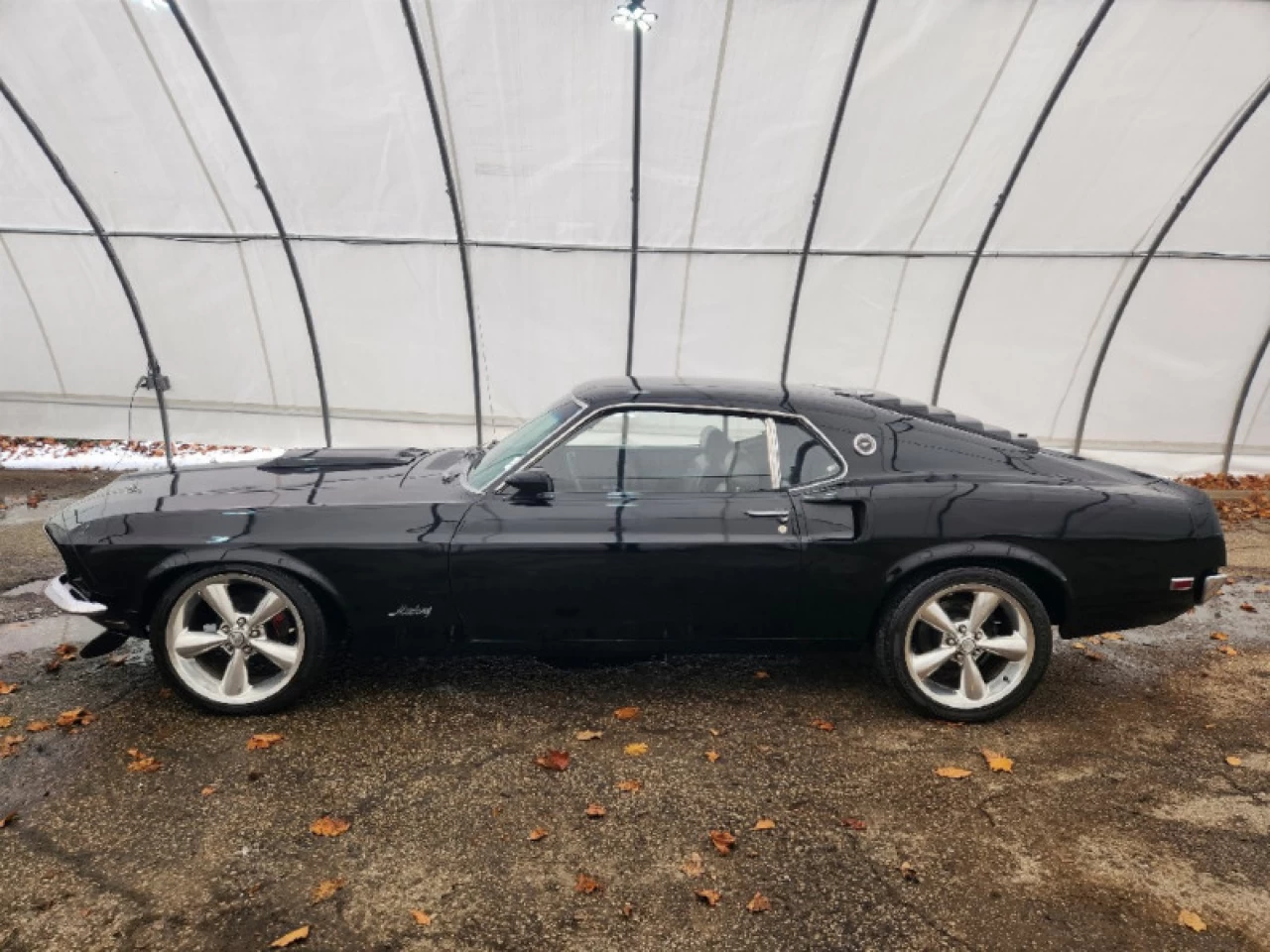 1969 Ford Mustang Fastback Main Image