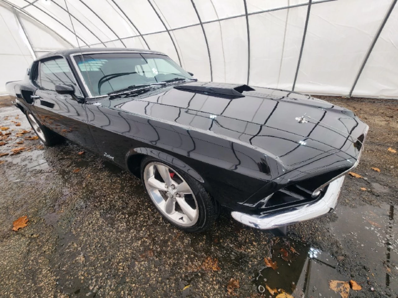 1969 Ford Mustang Fastback Main Image