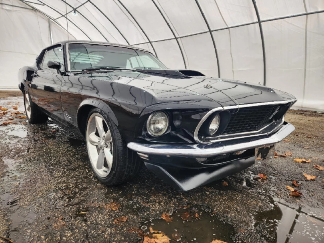 1969 Ford Mustang Fastback Main Image