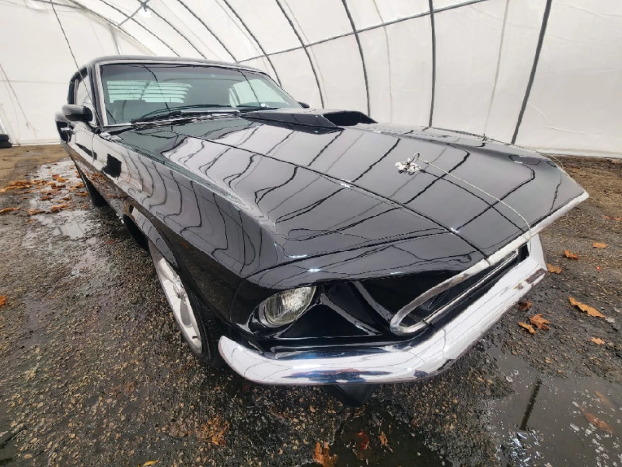 1969 Ford Mustang Fastback Main Image